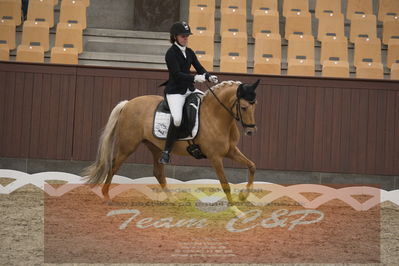Ecco Cup finaler 2019
Kat 1 ponyer
Nøgleord: nadja junker larsen;bossa nova bitsch