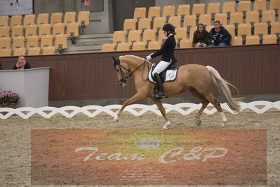 Ecco Cup finaler 2019
Kat 1 ponyer
Nøgleord: nadja junker larsen;bossa nova bitsch