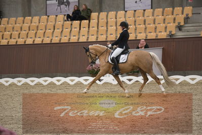 Ecco Cup finaler 2019
Kat 1 ponyer
Nøgleord: nadja junker larsen;bossa nova bitsch