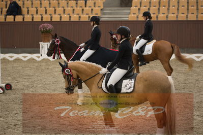 Ecco Cup finaler 2019
Kat 1 ponyer
Nøgleord: liva addy guldager nielsen;d'artagnan 187;lap of honour