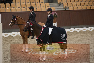 Ecco Cup finaler 2019
Kat 1 ponyer
Nøgleord: liva addy guldager nielsen;d'artagnan 187;lap of honour