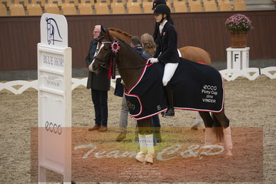 Ecco Cup finaler 2019
Kat 1 ponyer
Nøgleord: liva addy guldager nielsen;d'artagnan 187;lap of honour