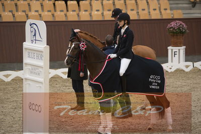 Ecco Cup finaler 2019
Kat 1 ponyer
Nøgleord: liva addy guldager nielsen;d'artagnan 187;lap of honour