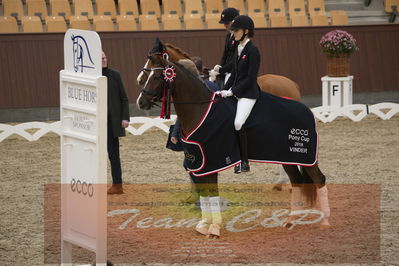 Ecco Cup finaler 2019
Kat 1 ponyer
Nøgleord: liva addy guldager nielsen;d'artagnan 187;lap of honour