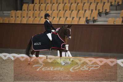 Ecco Cup finaler 2019
Kat 1 ponyer
Nøgleord: liva addy guldager nielsen;d'artagnan 187;lap of honour