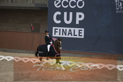 Ecco Cup finaler 2019
Kat 1 ponyer
Nøgleord: liva addy guldager nielsen;d'artagnan 187;lap of honour