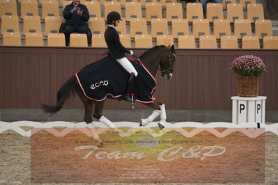 Ecco Cup finaler 2019
Kat 1 ponyer
Nøgleord: liva addy guldager nielsen;d'artagnan 187;lap of honour