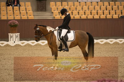 Ecco Cup finaler 2019
kat 2 ponier
Nøgleord: julie dam jensen;she net hoejgaard