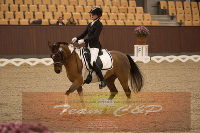Ecco Cup finaler 2019
kat 2 ponier
Nøgleord: julie dam jensen;she net hoejgaard