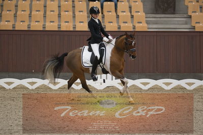 Ecco Cup finaler 2019
kat 2 ponier
Nøgleord: julie dam jensen;she net hoejgaard