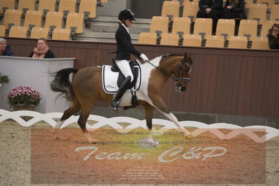 Ecco Cup finaler 2019
kat 2 ponier
Nøgleord: julie dam jensen;she net hoejgaard