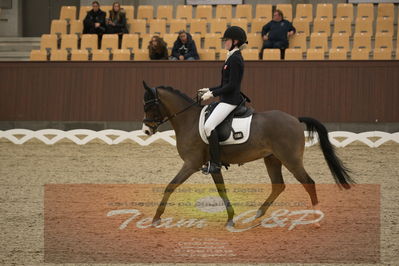 Ecco Cup finaler 2019
kat 2 ponier
Nøgleord: laura gotteberg jakobsen;prince
