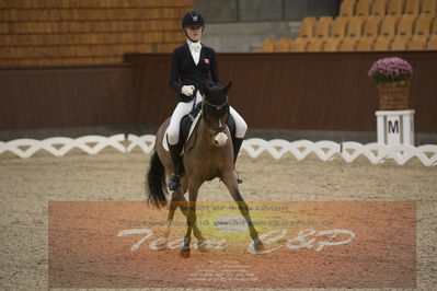 Ecco Cup finaler 2019
kat 2 ponier
Nøgleord: laura gotteberg jakobsen;prince