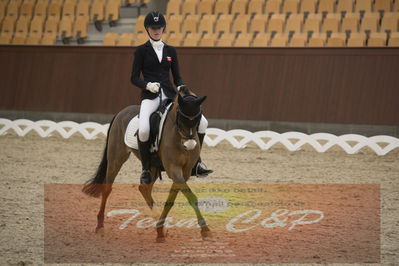 Ecco Cup finaler 2019
kat 2 ponier
Nøgleord: laura gotteberg jakobsen;prince