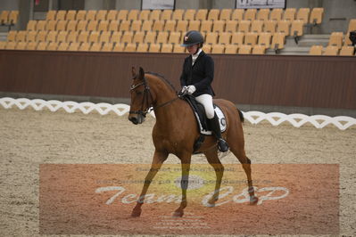 Ecco Cup finaler 2019
kat 2 ponier
Nøgleord: karoline mathilde ravnsbo;nørlunds beatrice