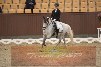 Ecco Cup finaler 2019
kat 2 ponier
Nøgleord: olivia bille jensen;pegasus