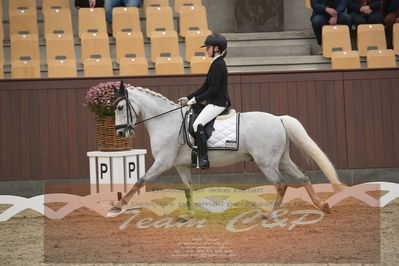 Ecco Cup finaler 2019
kat 2 ponier
Nøgleord: olivia bille jensen;pegasus
