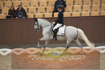 Ecco Cup finaler 2019
kat 2 ponier
Nøgleord: olivia bille jensen;pegasus