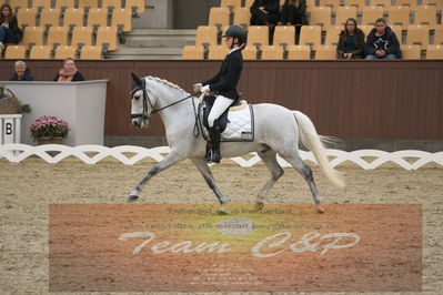 Ecco Cup finaler 2019
kat 2 ponier
Nøgleord: olivia bille jensen;pegasus