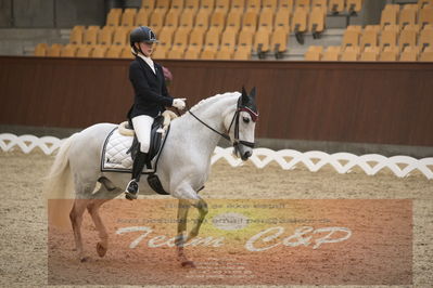 Ecco Cup finaler 2019
kat 2 ponier
Nøgleord: olivia bille jensen;pegasus