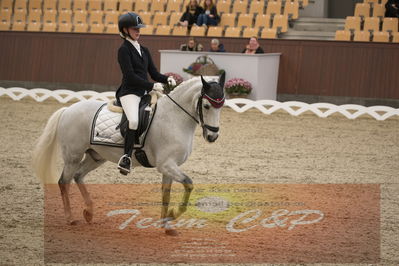 Ecco Cup finaler 2019
kat 2 ponier
Nøgleord: olivia bille jensen;pegasus