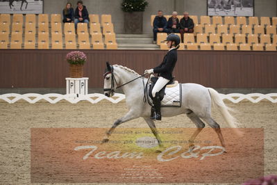 Ecco Cup finaler 2019
kat 2 ponier
Nøgleord: olivia bille jensen;pegasus