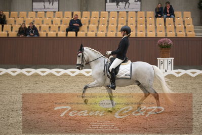 Ecco Cup finaler 2019
kat 2 ponier
Nøgleord: olivia bille jensen;pegasus