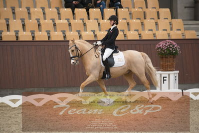 Ecco Cup finaler 2019
kat 2 ponier
Nøgleord: elisabeth cecilie bonefeld-dahl;truly yours