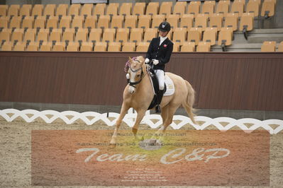 Ecco Cup finaler 2019
kat 2 ponier
Nøgleord: elisabeth cecilie bonefeld-dahl;truly yours