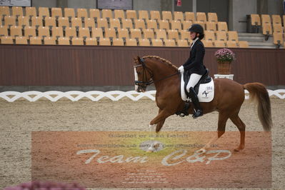 Ecco Cup finaler 2019
kat 2 ponier
Nøgleord: sofie gandrup;bruno mars-g