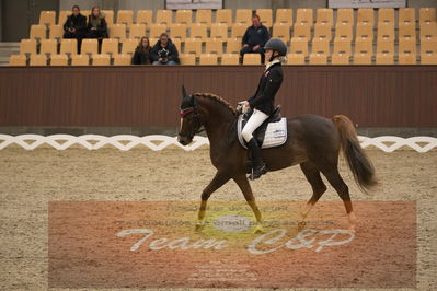 Ecco Cup finaler 2019
kat 2 ponier
Nøgleord: johanne kofoed jensen;aurora a