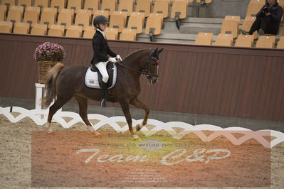 Ecco Cup finaler 2019
kat 2 ponier
Nøgleord: johanne kofoed jensen;aurora a