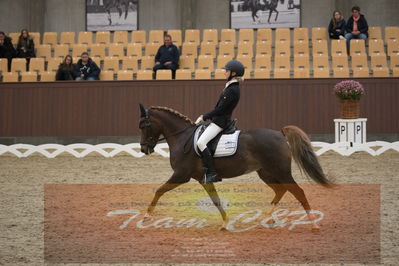 Ecco Cup finaler 2019
kat 2 ponier
Nøgleord: johanne kofoed jensen;aurora a