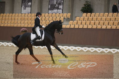 Ecco Cup Finaler 2019
Junior, u18
Nøgleord: camilla juul møller;gørklintgårds siriano