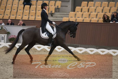 Ecco Cup Finaler 2019
Junior, u18
Nøgleord: sofie amalie kjærgaard wettendorff;sauvignon