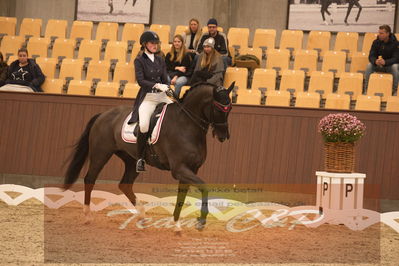 Ecco Cup Finaler 2019
Junior, u18
Nøgleord: camilla sørensen olsen;dørr's nevil