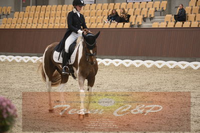 Ecco Cup Finaler 2019
Junior, u18
Nøgleord: josephine rathje facius;stand proud