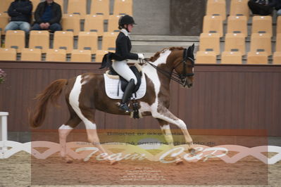 Ecco Cup Finaler 2019
Junior, u18
Nøgleord: josephine rathje facius;stand proud