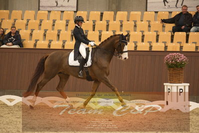 Ecco Cup Finaler 2019
Junior, u18
Nøgleord: frederikke blichfeld;heinsgårdens unik