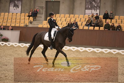 Ecco Cup Finaler 2019
Junior, u18
Nøgleord: alexander yde helgstrand;grevens sa'va