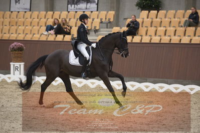 Ecco Cup Finaler 2019
Junior, u18
Nøgleord: alexander yde helgstrand;grevens sa&#039;va