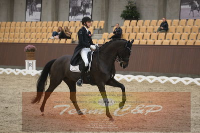 Ecco Cup Finaler 2019
Junior, u18
Nøgleord: alexander yde helgstrand;grevens sa&#039;va