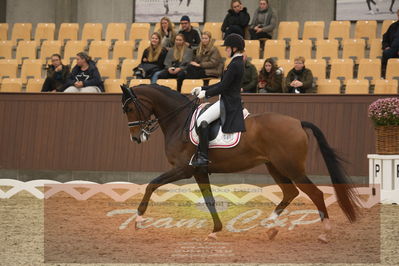 Ecco Cup Finaler 2019
Junior, u18
Nøgleord: frederikke gram jacobsen;ryvangs zafina