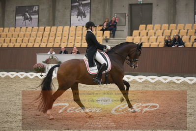 Ecco Cup Finaler 2019
Junior, u18
Nøgleord: frederikke gram jacobsen;ryvangs zafina