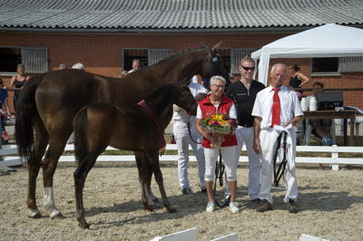 følchampionat 2018
vinderføl
Nøgleord: k18-044;BORBJERGS MAESTRO DE BELA;Jørn Dahl