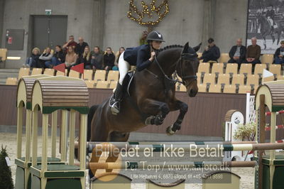 Dansk Rideforbunds Championats finaler 2018
Dansk Rideforbunds Championats finaler 2018 spring 5års
Nøgleord: syvhøjegårds enzo;katrine højholt