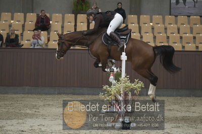 Dansk Rideforbunds Championats finaler 2018
Dansk Rideforbunds Championats finaler 2018 spring 5års
Nøgleord: syvhøjegårds fernando;trine werner