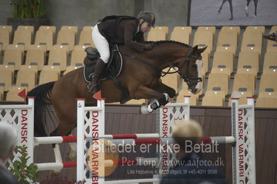 Dansk Rideforbunds Championats finaler 2018
Dansk Rideforbunds Championats finaler 2018 spring 5års
Nøgleord: syvhøjegårds fernando;trine werner