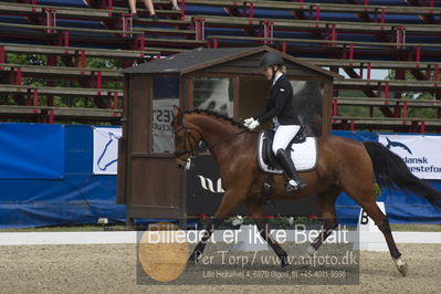 Dm - Uwm iagttagelse - Paradressur
Dm paradressur
Nøgleord: mette isabella anker hansen;lindgaardens achilles