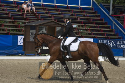 Dm - Uwm iagttagelse - Paradressur
Dm paradressur
Nøgleord: mette isabella anker hansen;lindgaardens achilles